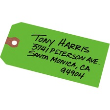 Avery AVE12365 Shipping Tag