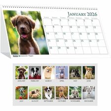 House of Doolittle HOD3659 Calendar