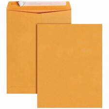 Business Source BSN40099 Envelope